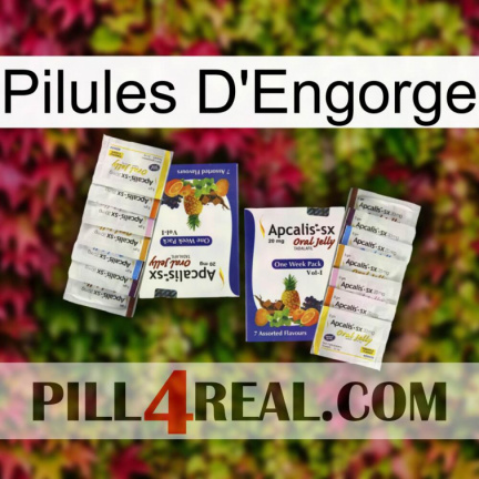 Engorge Pills 12